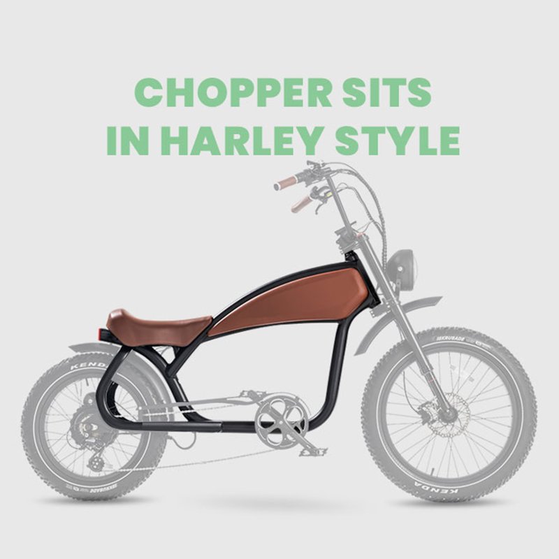 Bisek Electra Retro Electric City Bike with 1000W 500W Motor 48v 15ah-20ah Lithium Battery Rear Hub Motor US Warehouse