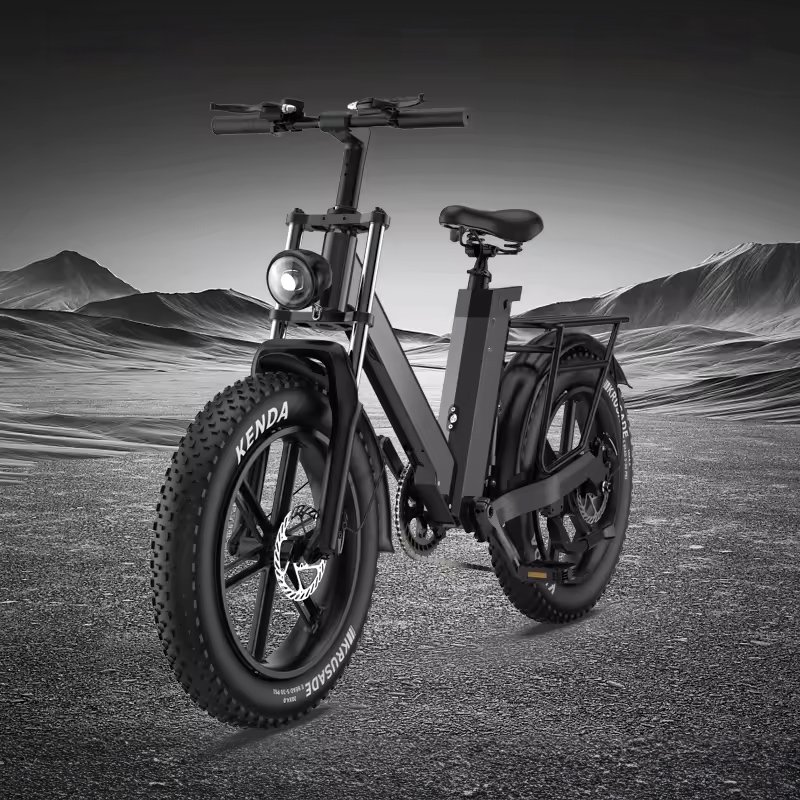 20 Inch 48V Snow Fatbike E-Bike Adult Lithium Battery 7 Speed Disc Brake Fat-bike Fat Tire Bicycle Electric Mountain Bike