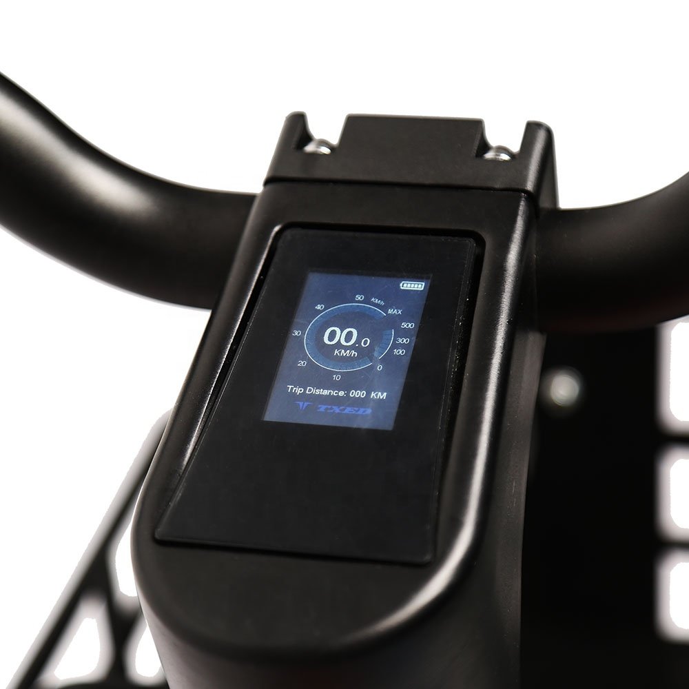 TXED non-inflatable tires & tubes electric bicycle sharing single speed 36V/250W electric sharing bike
