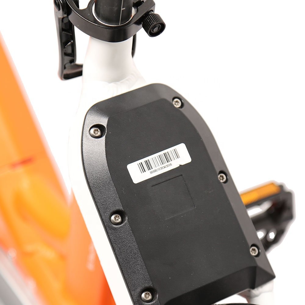 TXED non-inflatable tires & tubes electric bicycle sharing single speed 36V/250W electric sharing bike