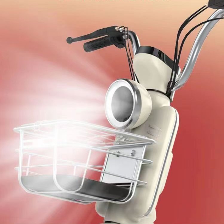 Hot Sales 48v 12ah Electric Bike 350W Electric City Bike with Rear Hub Motor down Tube Battery for Adults
