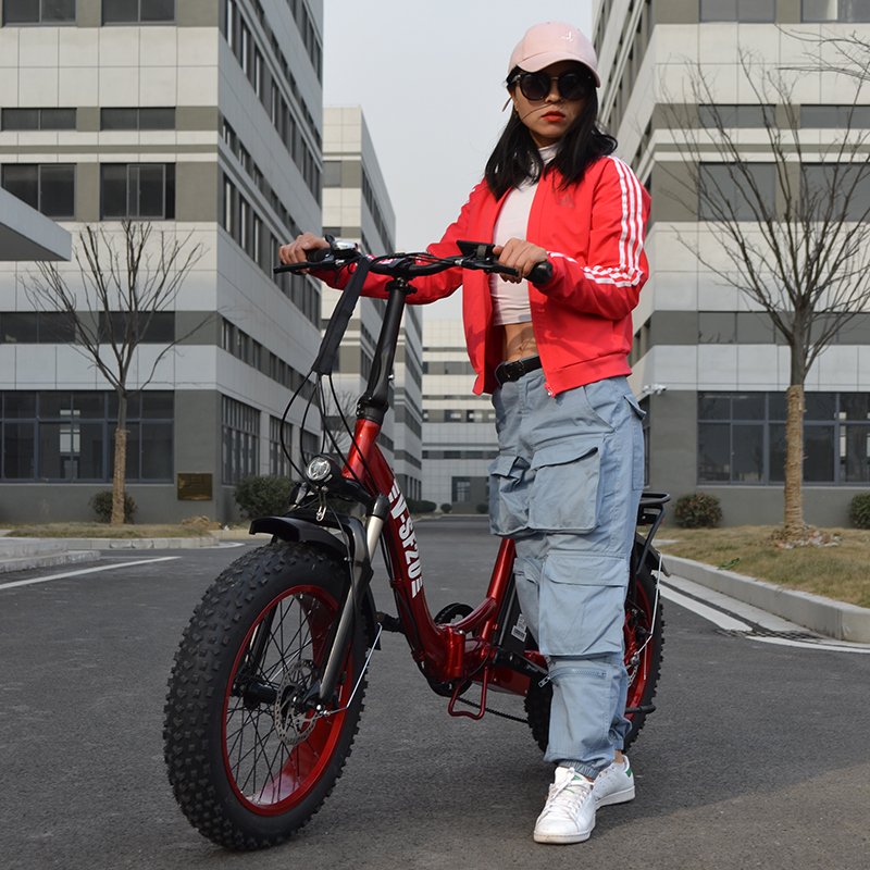US & EU in stock 250W 750W 36V 48V Fat Tire Folding Fast Electric Motor Bike Mountain City Road Bicycle e Bike Cycle