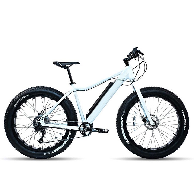 Hot Sell 48V 750W Electric Fat Bike High Speed 7 Speed Gears Electric Mountain Bike Wholesale Cheap Price Fat Tyre Electric Bike