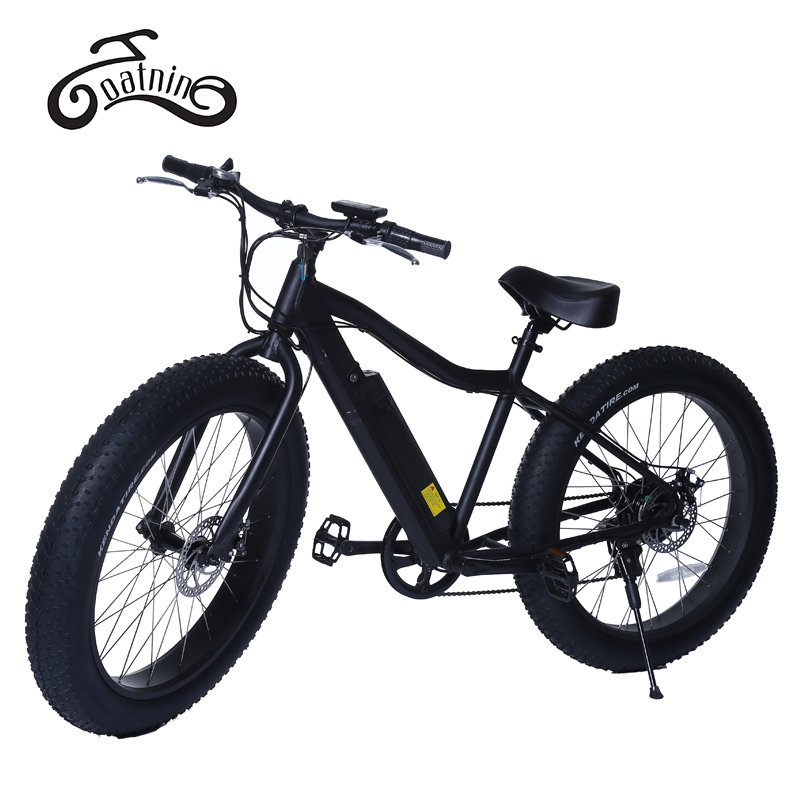 Hot Sell 48V 750W Electric Fat Bike High Speed 7 Speed Gears Electric Mountain Bike Wholesale Cheap Price Fat Tyre Electric Bike