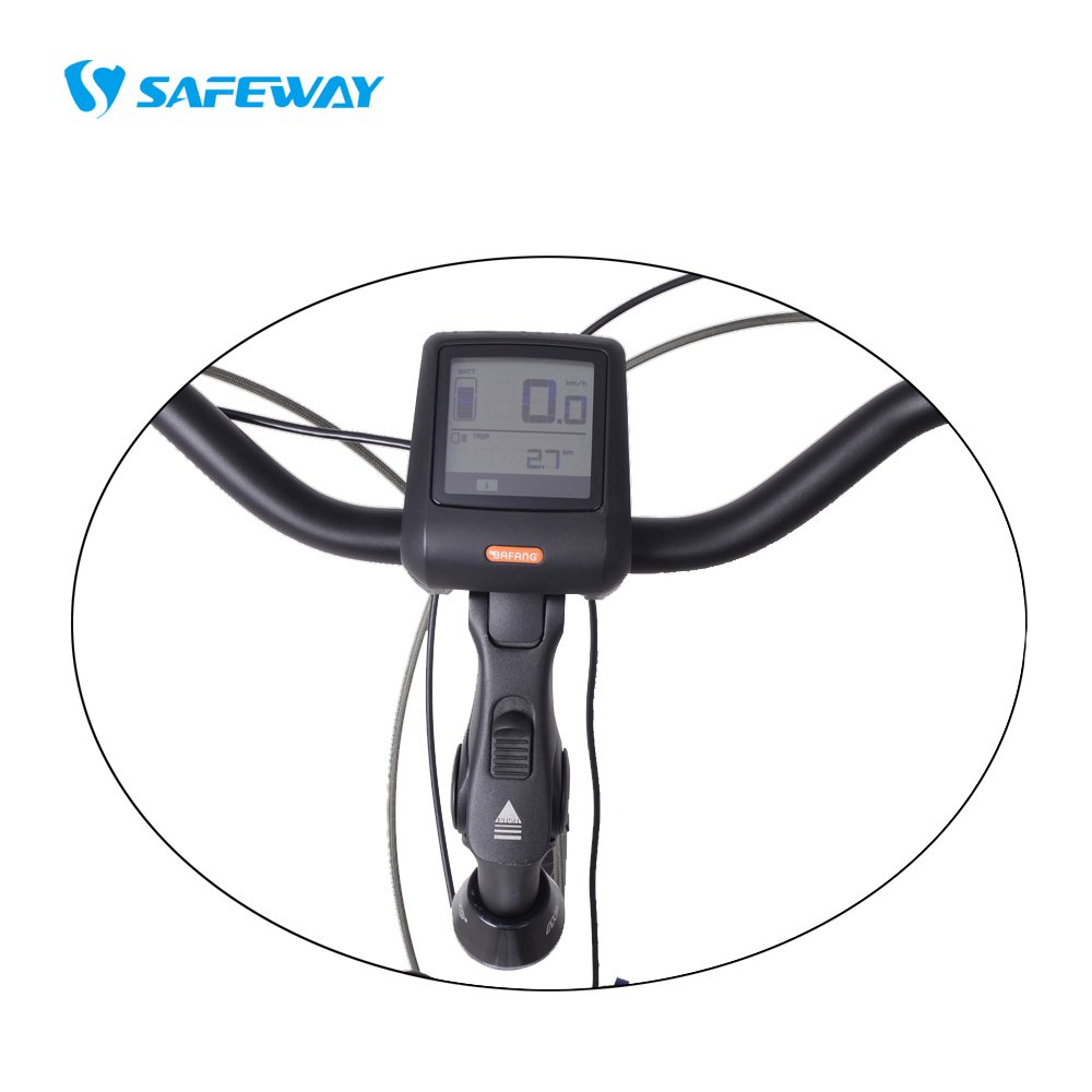 electric bicycle 28 inch electric bikes with pedal assist for women 500w electric bicycle city electric bike 700C bafang 750w