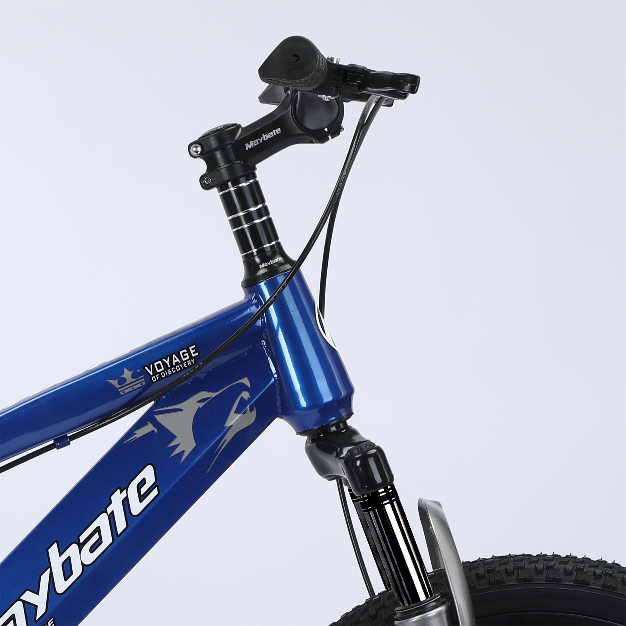 HUANLANHG High Quality Steel Bicycle Single Speed Mountain Bike with Disc Brake and Ordinary Pedal Manufactured in China