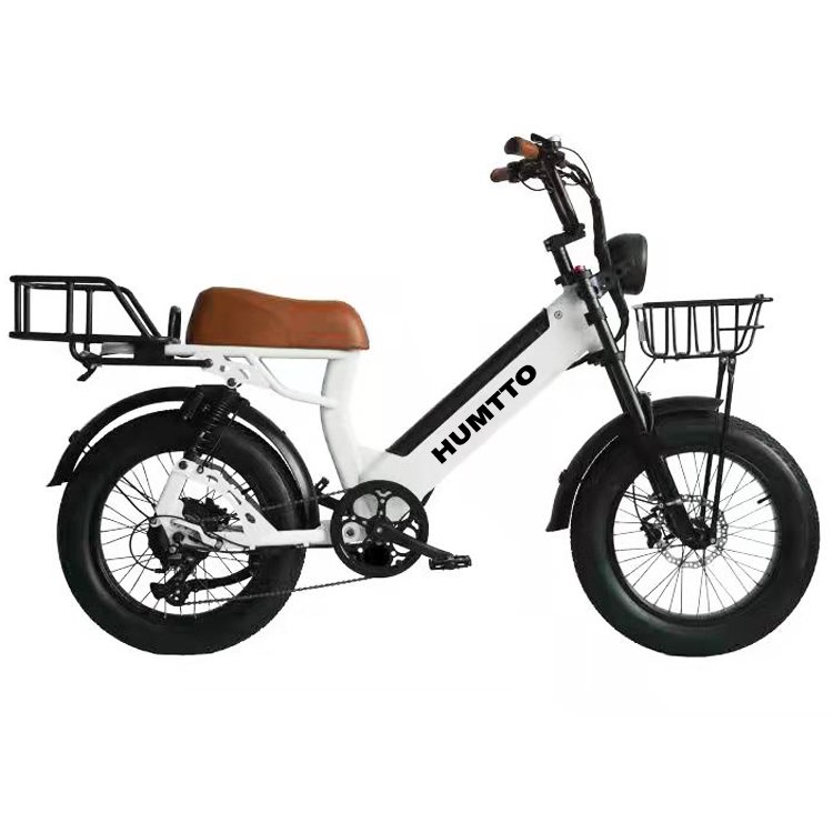 48V 12.5AH 20 inch aluminium alloy High Quality full suspension multifunctional fat tire retro motor electric city bike