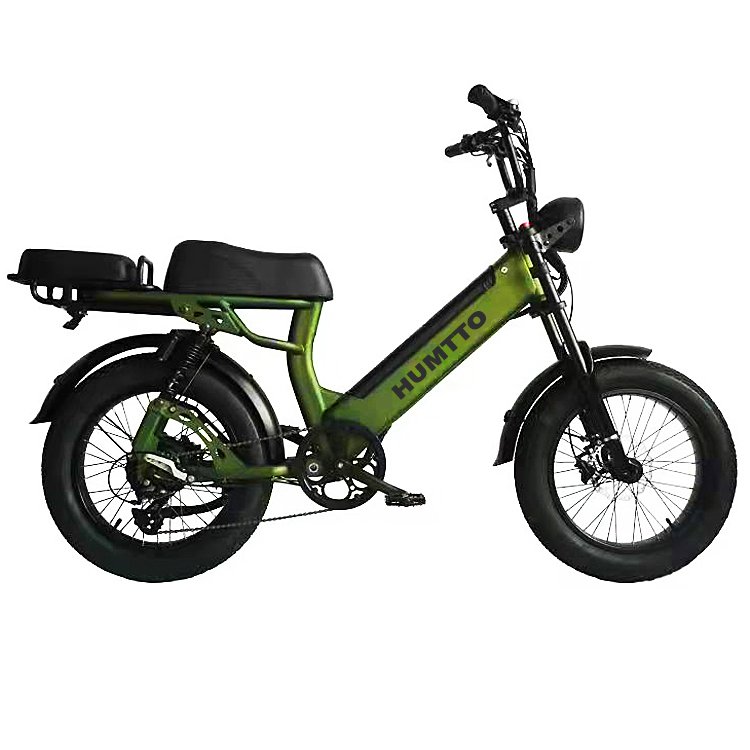 48V 12.5AH 20 inch aluminium alloy High Quality full suspension multifunctional fat tire retro motor electric city bike
