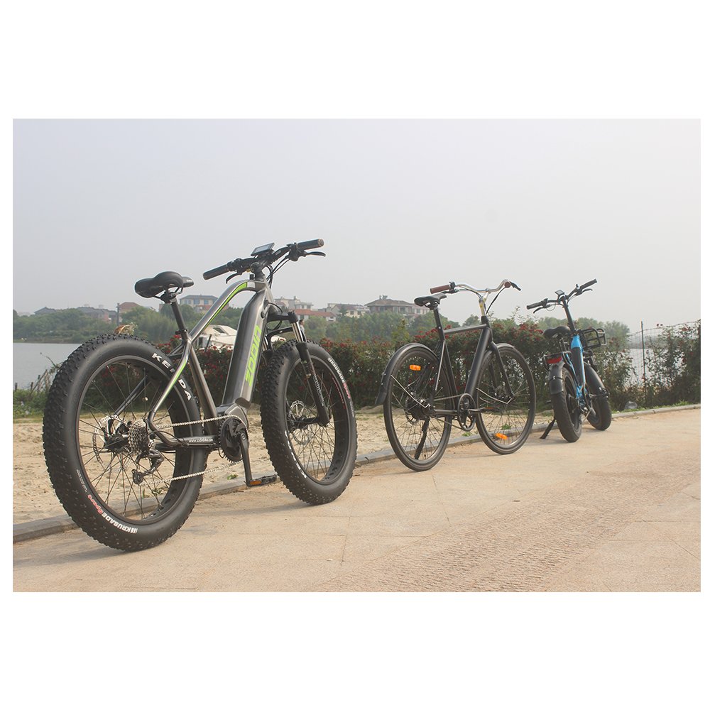 1000W Mens Mountain Bike rugged utility urban cruiser Electric bike