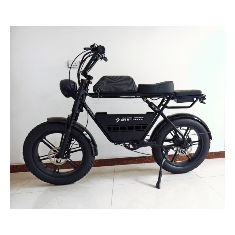 Hot Sale Logo Customized 20inch 48V 350W Electric Mountain Bike Adult Electric Road Bike 500W Electric Snow Bike 750w For Adult