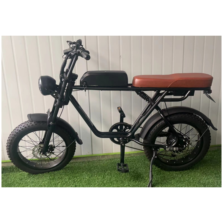 Hot Sale Logo Customized 20inch 48V 350W Electric Mountain Bike Adult Electric Road Bike 500W Electric Snow Bike 750w For Adult