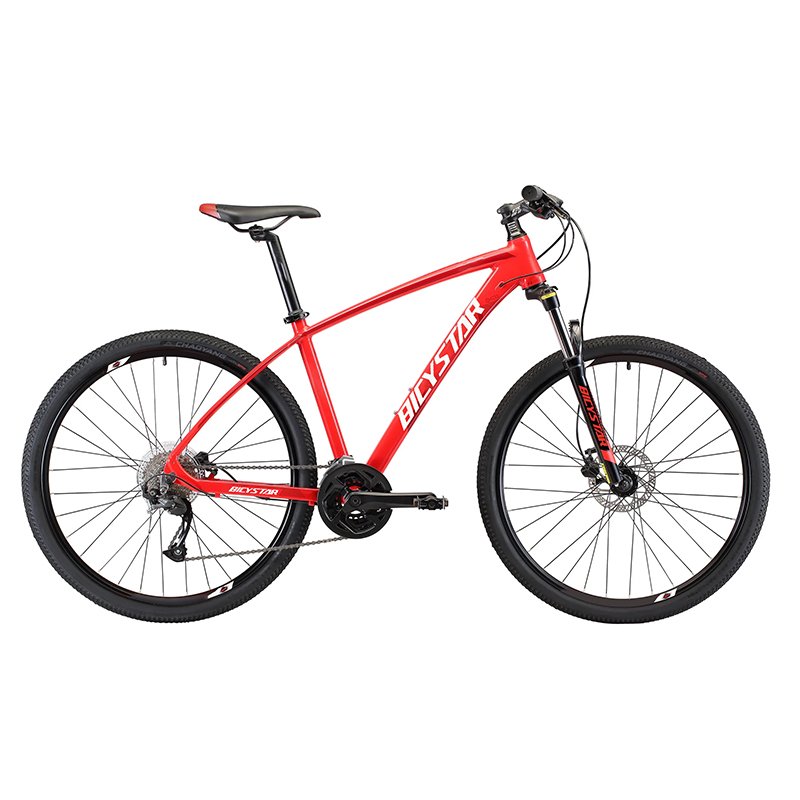 cheap mountain bike / mountain bicycle for men