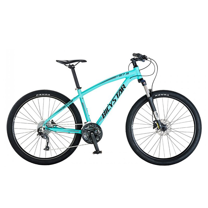cheap mountain bike / mountain bicycle for men