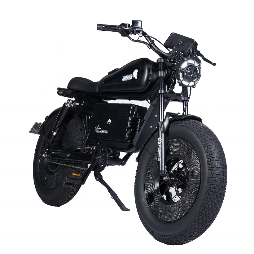 Surron 20" Fat Tire 1500W 30Ah 60Ah Electric Hybrid E Mountain Dirt Motocross Bike Full Suspension Adult Off-road Motorcycles