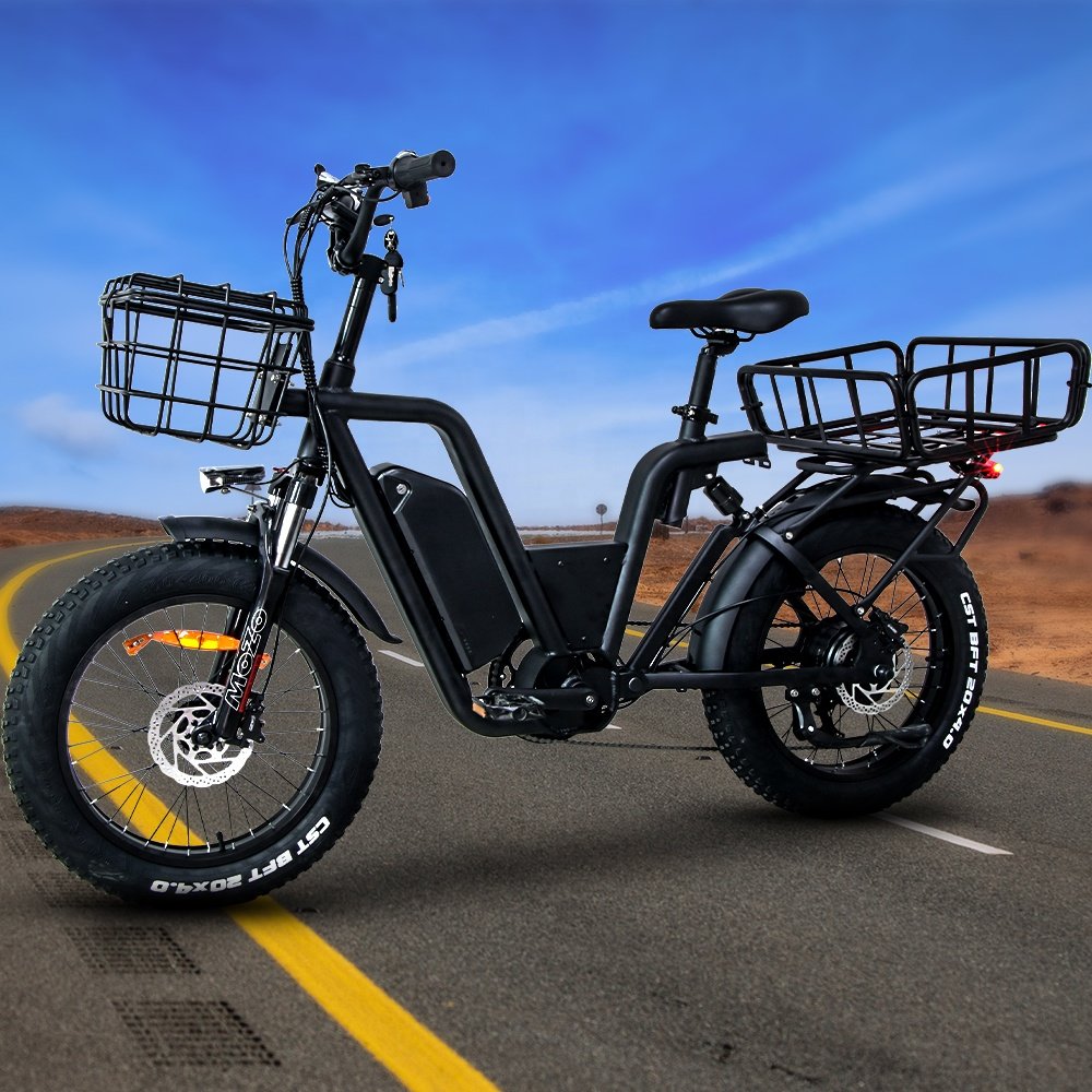 e-bicycle fat tire bicycle fahrrad 1000w motor Lithium Battery 22 ah Electric City Bike for adult 48v Electric Road Bike
