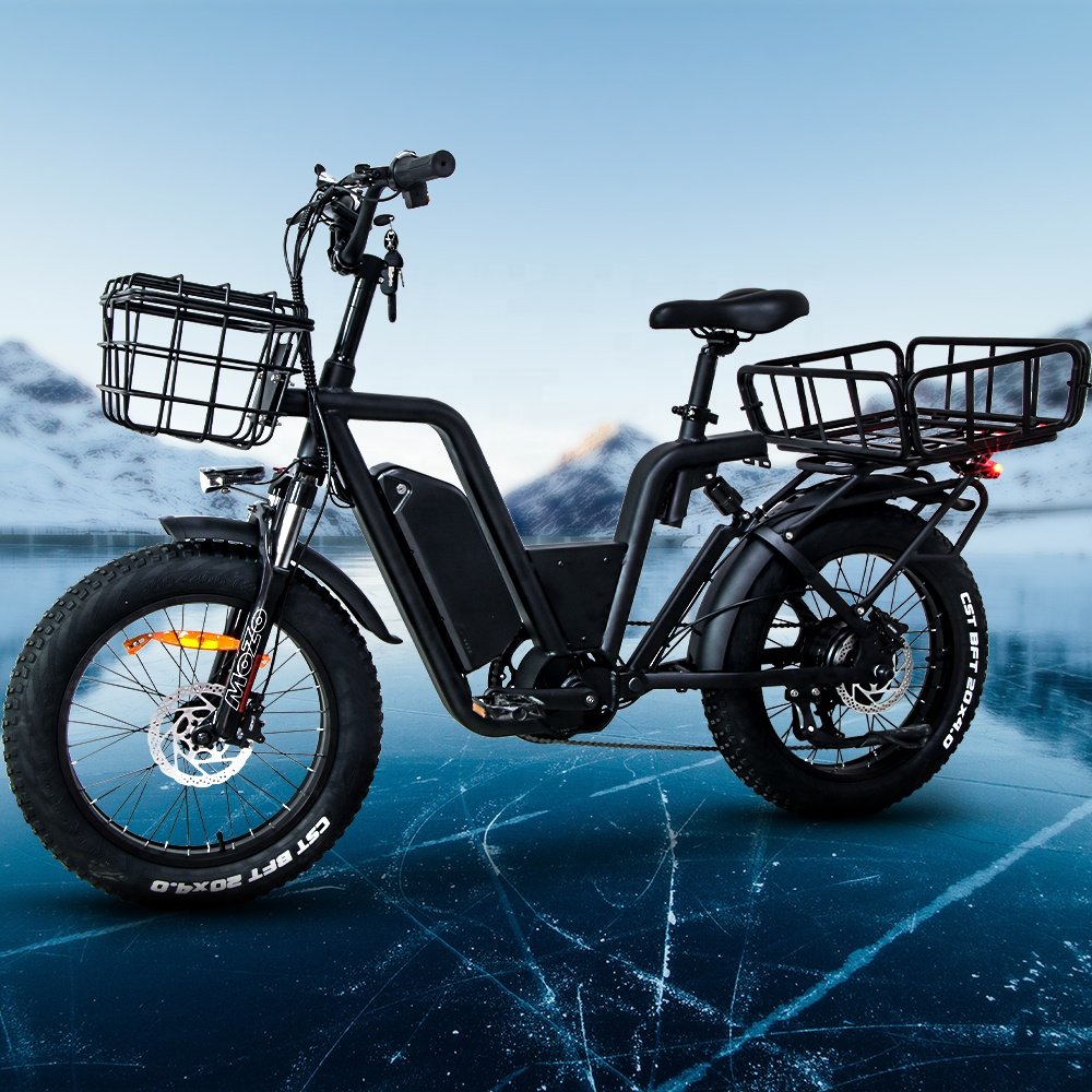 e-bicycle fat tire bicycle fahrrad 1000w motor Lithium Battery 22 ah Electric City Bike for adult 48v Electric Road Bike