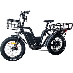 1000W 22Ah