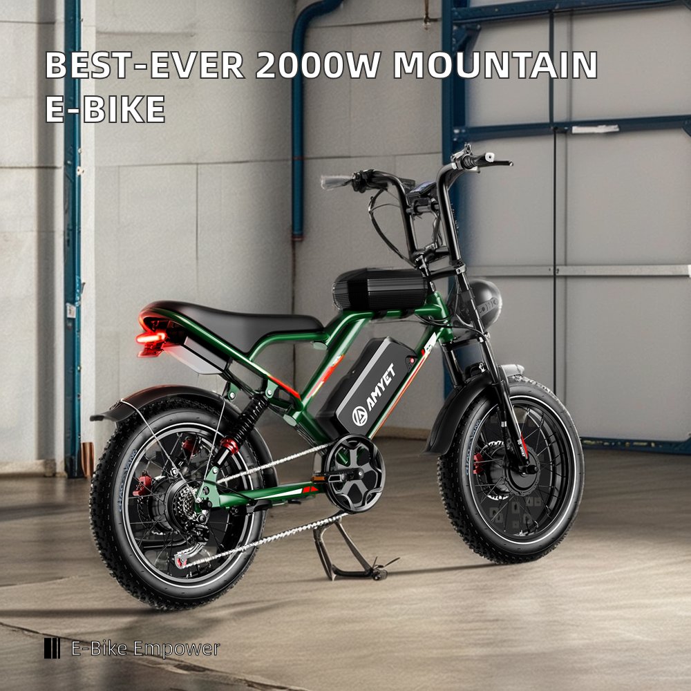Ebiike 48V Electric Mountain Bike Fatbike Surron Frame and Rear Hub Motor with Integrated Aluminum Alloy 48V Lithium Battery 204