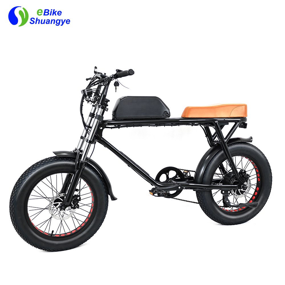 High Quality motor bike/electronic super bike/electric mountain bike full suspension 750w fat tire electric bike