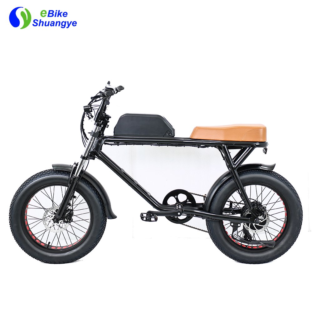 High Quality motor bike/electronic super bike/electric mountain bike full suspension 750w fat tire electric bike