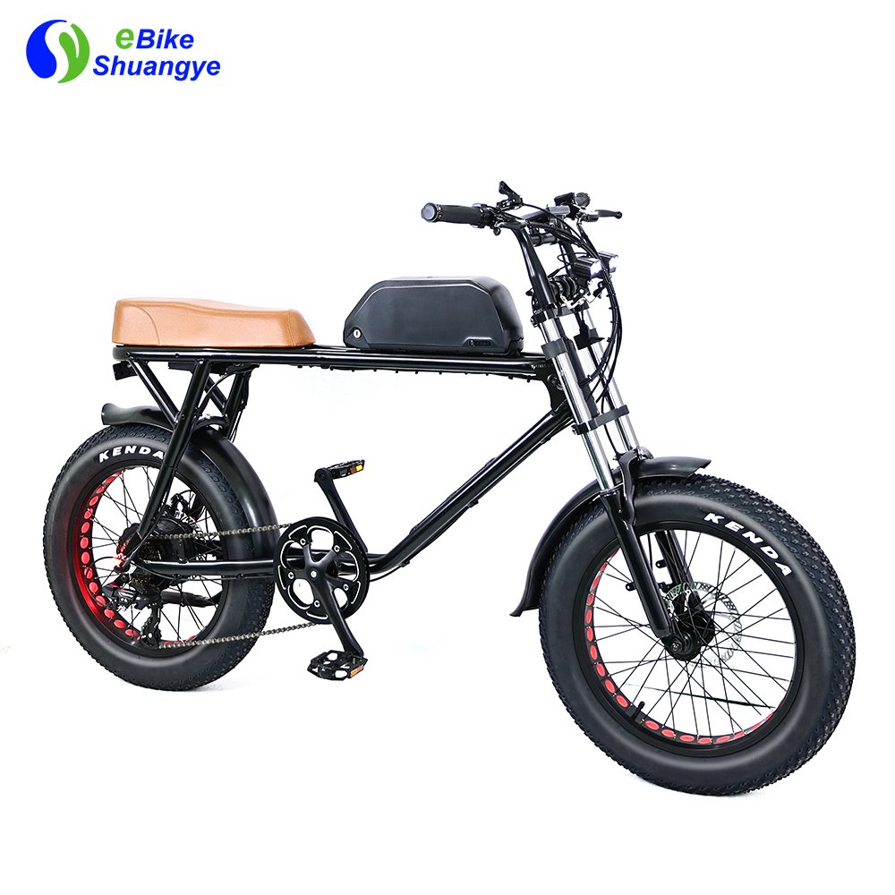 High Quality motor bike/electronic super bike/electric mountain bike full suspension 750w fat tire electric bike