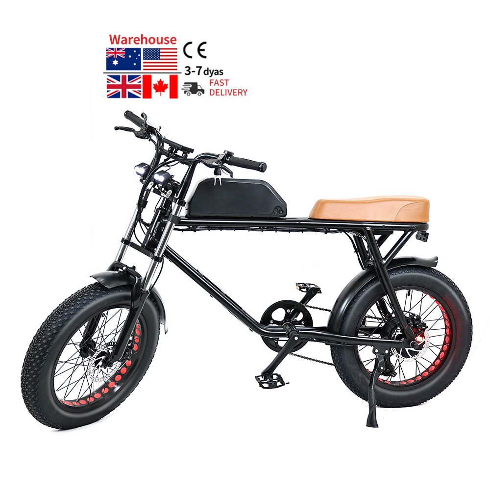 High Quality motor bike/electronic super bike/electric mountain bike full suspension 750w fat tire electric bike