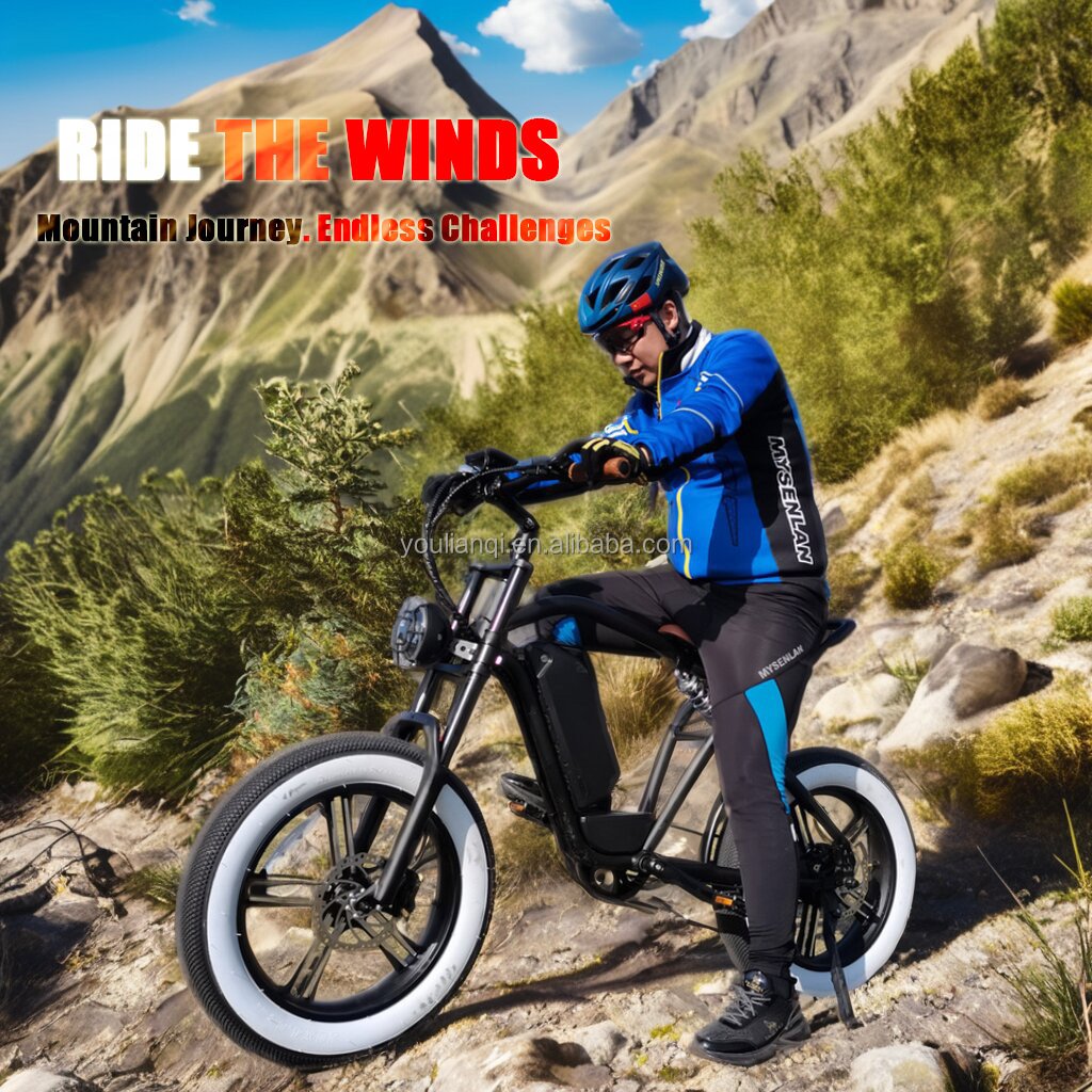 20*4.0 Fat Tire Bafang Motor Electric Mountain Bike Wall Frame Power with 48v Lithium Battery Fun Charging Hub High Torque Time