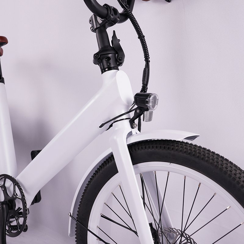 24 Inch Electric City Bike 15Ah Lithium Battery Long Range Ebike 250W 500W Electric Bicycle