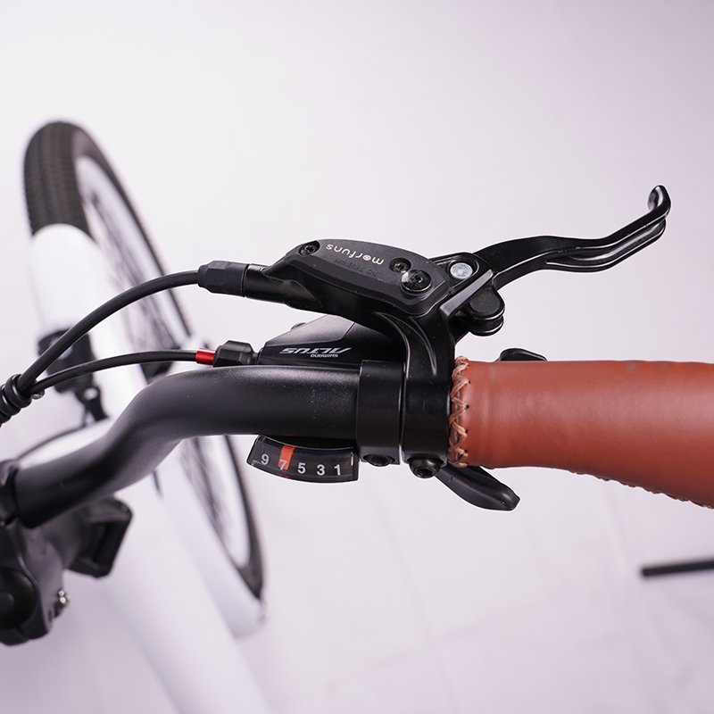 24 Inch Electric City Bike 15Ah Lithium Battery Long Range Ebike 250W 500W Electric Bicycle