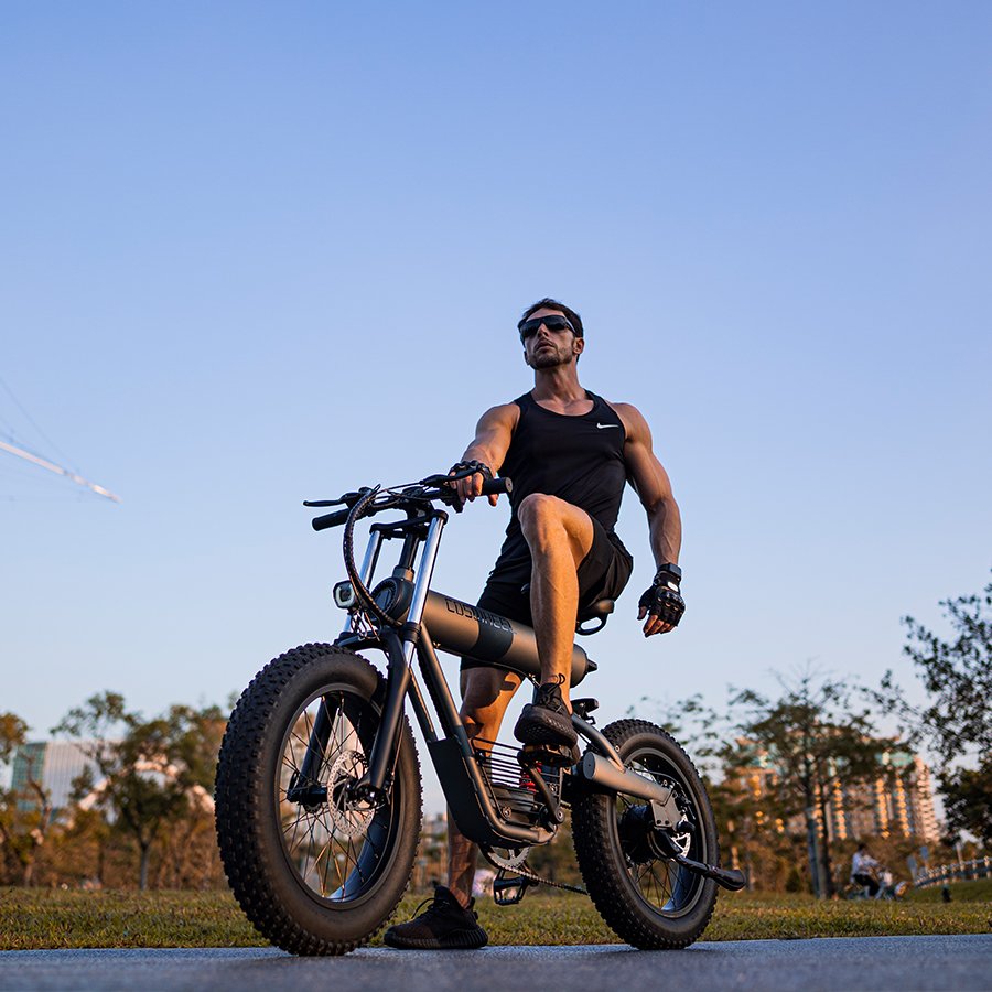 Factory Price E Bike 1000w 48v Electric Bike City E Bikes Fat Tire 1000 watt Electric Bicycle