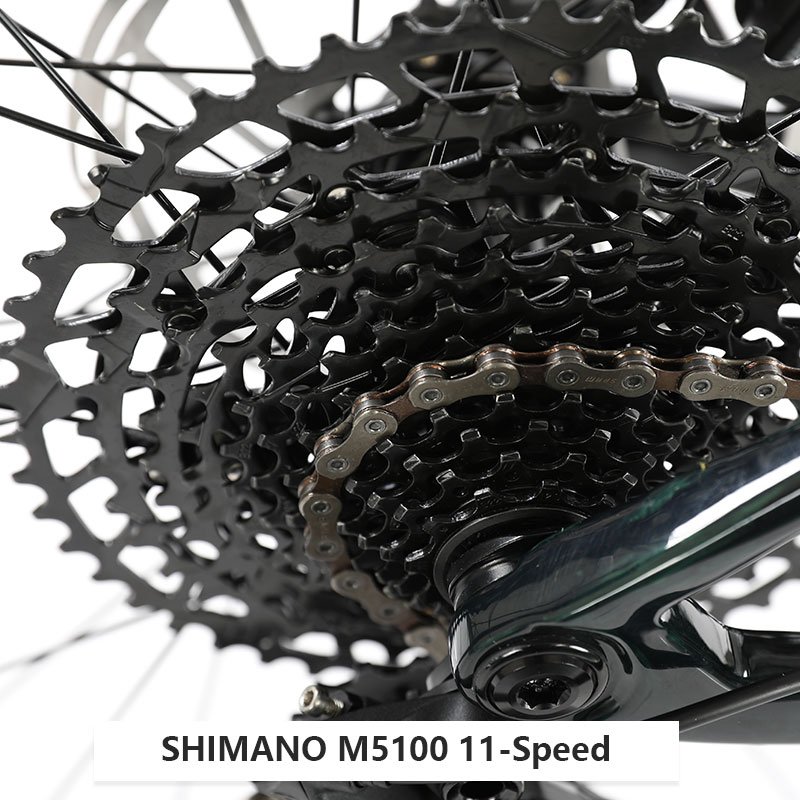 ALVAS SPIDER CLS Carbon Fiber SX Variable speed bike 12 speed 29 "general purpose mountain bike