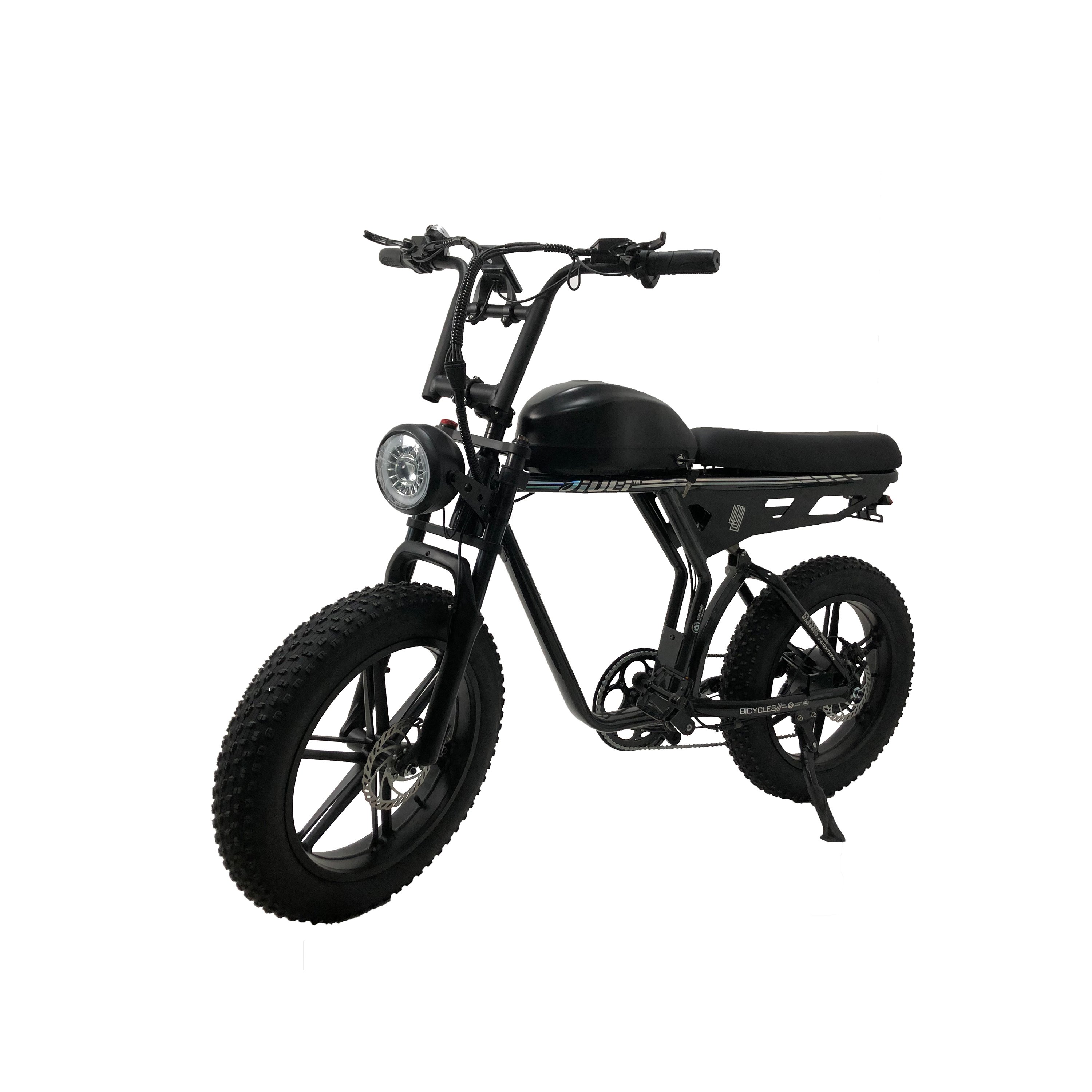2024 Best Factory ODM/OEM E Dirt Bike 750w Electric Bicycle 48v Electric Mountain Bike