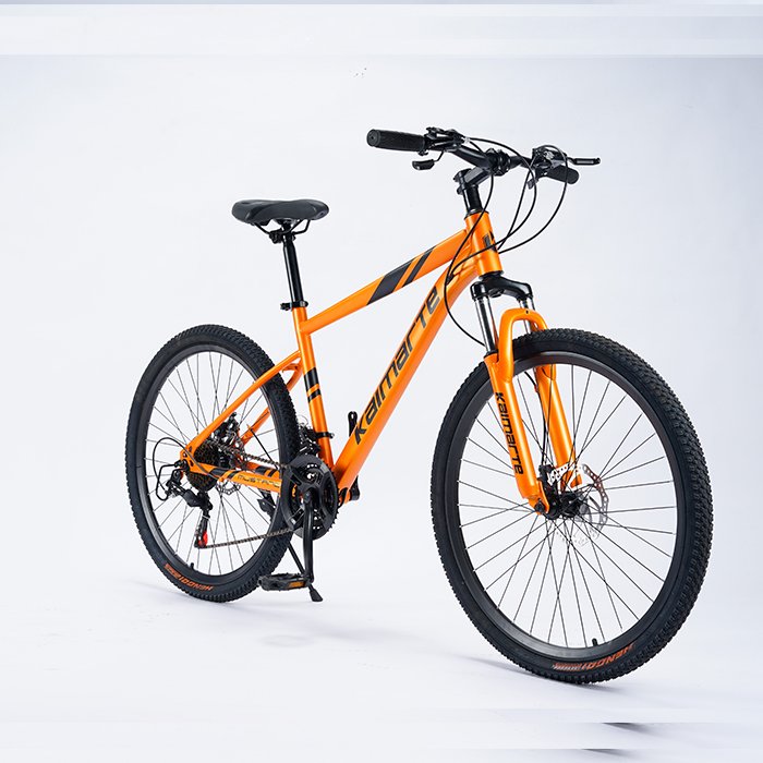 China 29er Carbon Frame Mountain Bikes Alloy Rim Suspension R29 Bicicleta with 21 Speed Steel Fork 29er Mountain Bikes