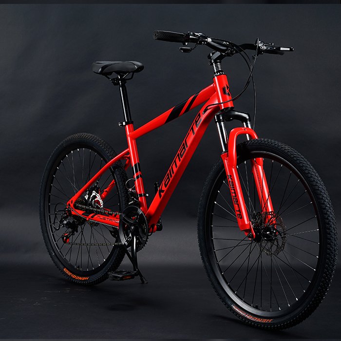 China 29er Carbon Frame Mountain Bikes Alloy Rim Suspension R29 Bicicleta with 21 Speed Steel Fork 29er Mountain Bikes
