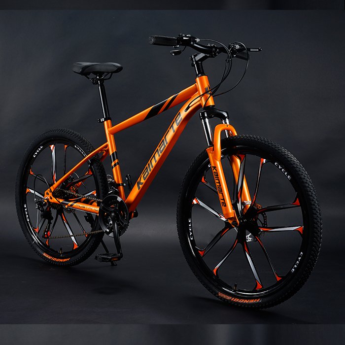 China 29er Carbon Frame Mountain Bikes Alloy Rim Suspension R29 Bicicleta with 21 Speed Steel Fork 29er Mountain Bikes