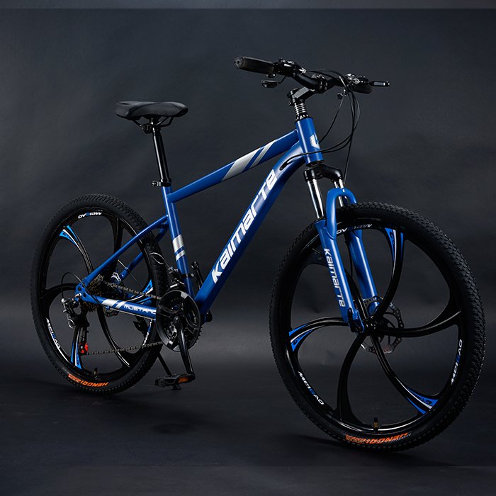 China 29er Carbon Frame Mountain Bikes Alloy Rim Suspension R29 Bicicleta with 21 Speed Steel Fork 29er Mountain Bikes