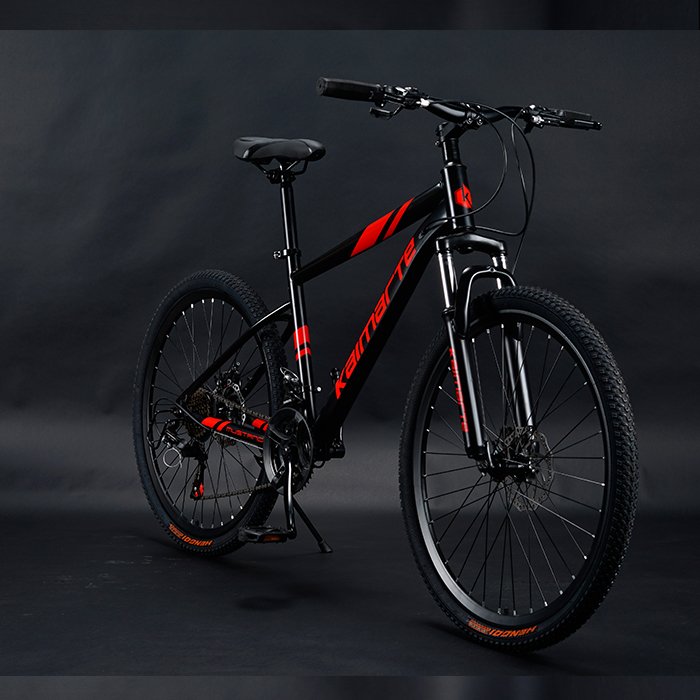 China 29er Carbon Frame Mountain Bikes Alloy Rim Suspension R29 Bicicleta with 21 Speed Steel Fork 29er Mountain Bikes