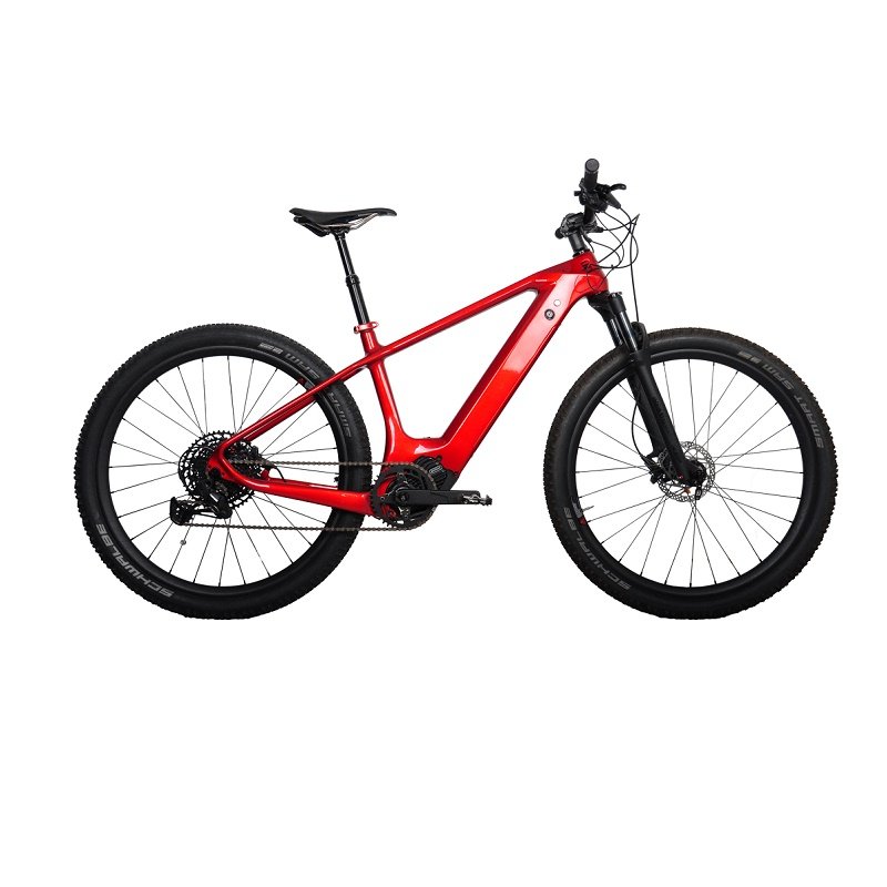 DENGFU ebike E14 Hard tail mtb Bafang M510/M600 motor bike Carbon electric bicycle electric mountain bike