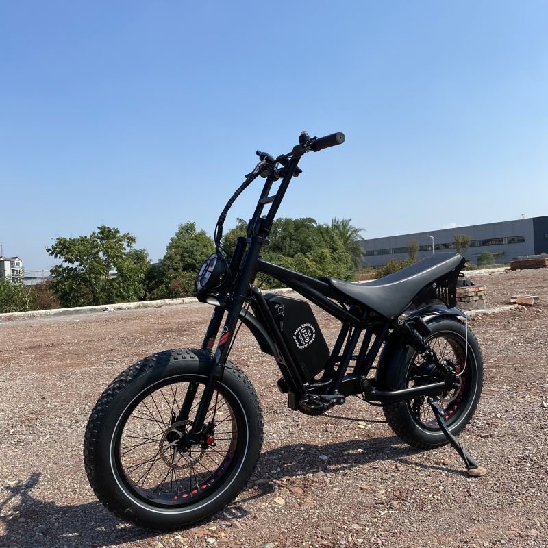 Fat Tire Off-Road Electric Mountain Bike 350W 750w hub motor 48V 10ah 17.5ah Battery 1000w MTB ebike