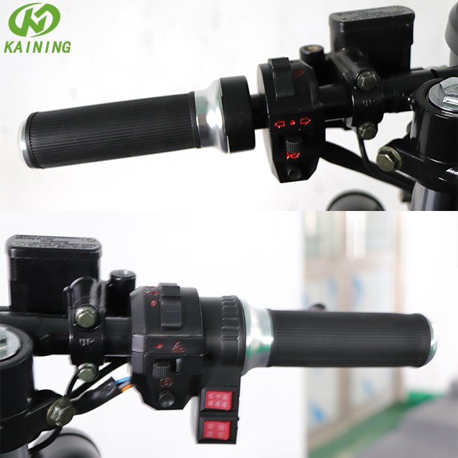 Factory Directly Supply Classic Retro 3000W Electric Sportbike Motorcycle for Adults
