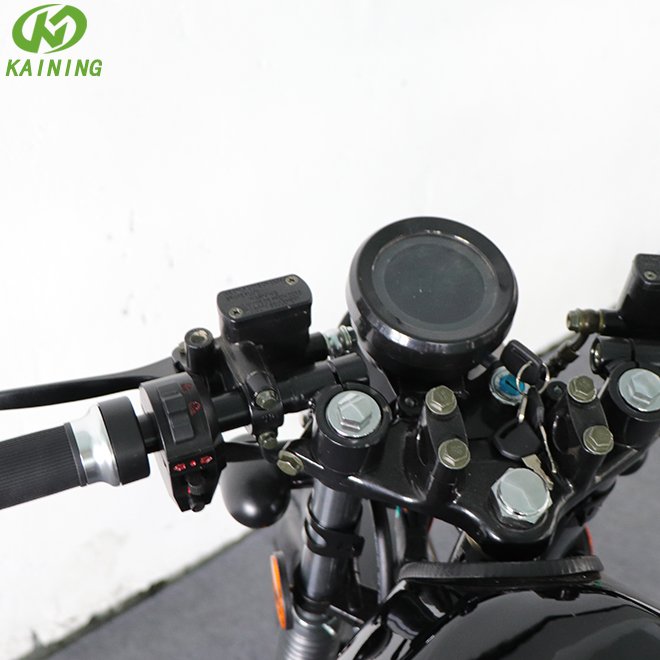 Factory Directly Supply Classic Retro 3000W Electric Sportbike Motorcycle for Adults