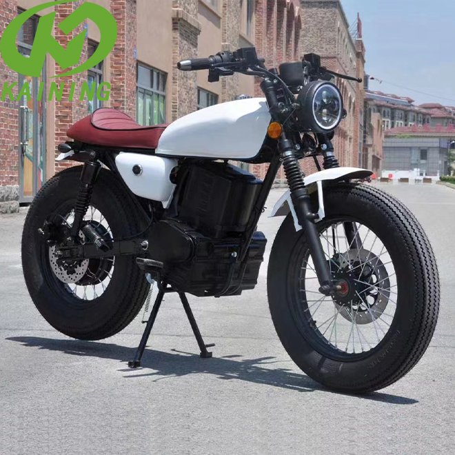 Factory Directly Supply Classic Retro 3000W Electric Sportbike Motorcycle for Adults