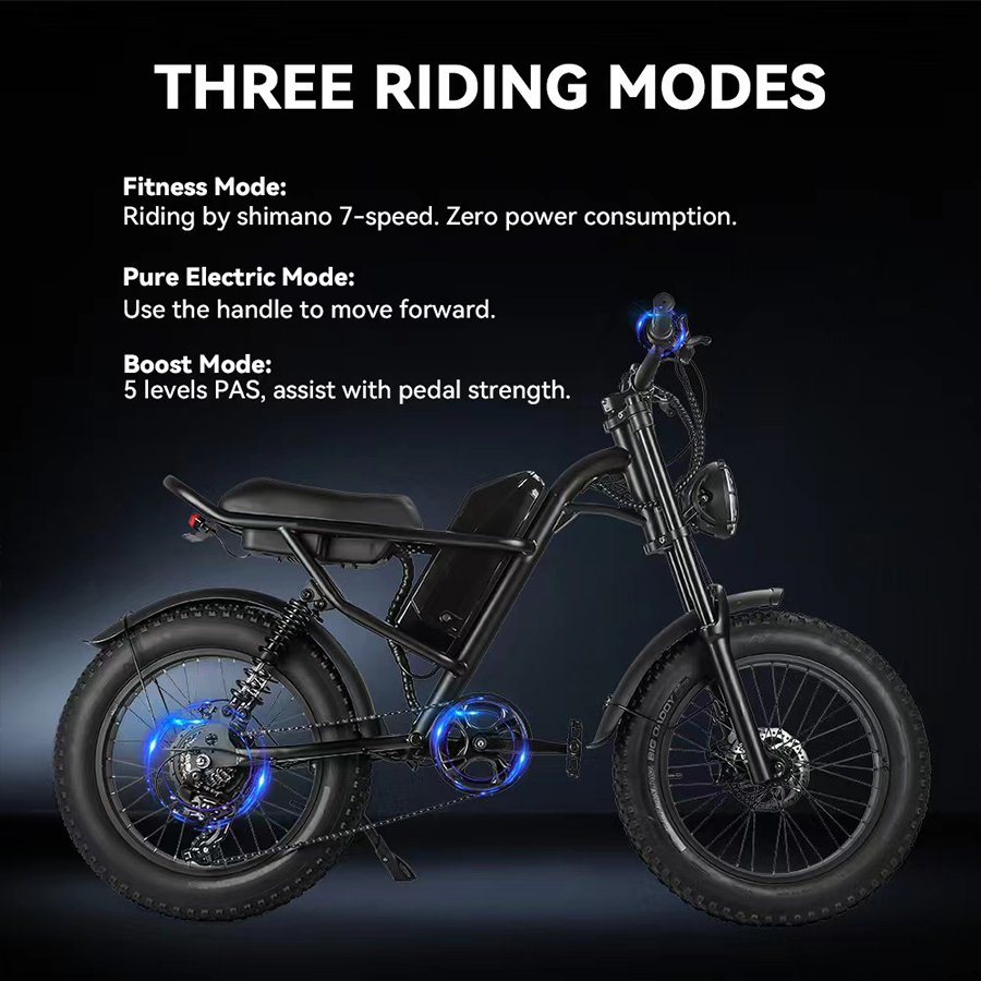 Off Road 20x4 500w 750w fat tyre electric fat tire bike tyre cycle e-bike fatbike electrische mountain snow bici elettrica ebike