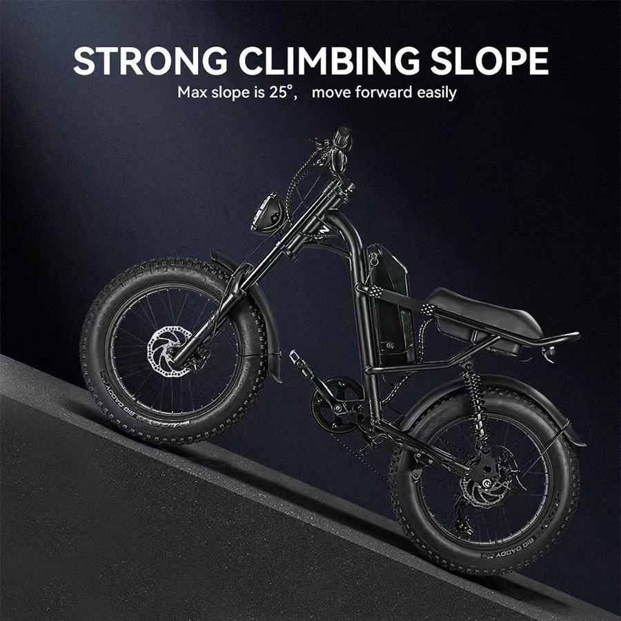 Off Road 20x4 500w 750w fat tyre electric fat tire bike tyre cycle e-bike fatbike electrische mountain snow bici elettrica ebike