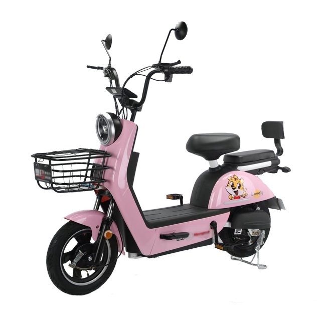 Factory Direct Sales Cheap Price 48V Battery Electric Bike Electronic Steel Multifunctional Lithium Battery LCD Display 350W 14"