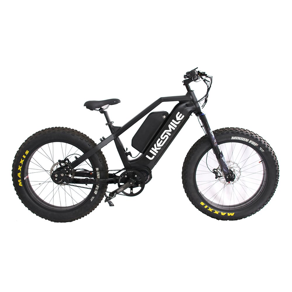 CMPRO Electric Fat Tire Bike With Rohloff 14 speeds IGH hub