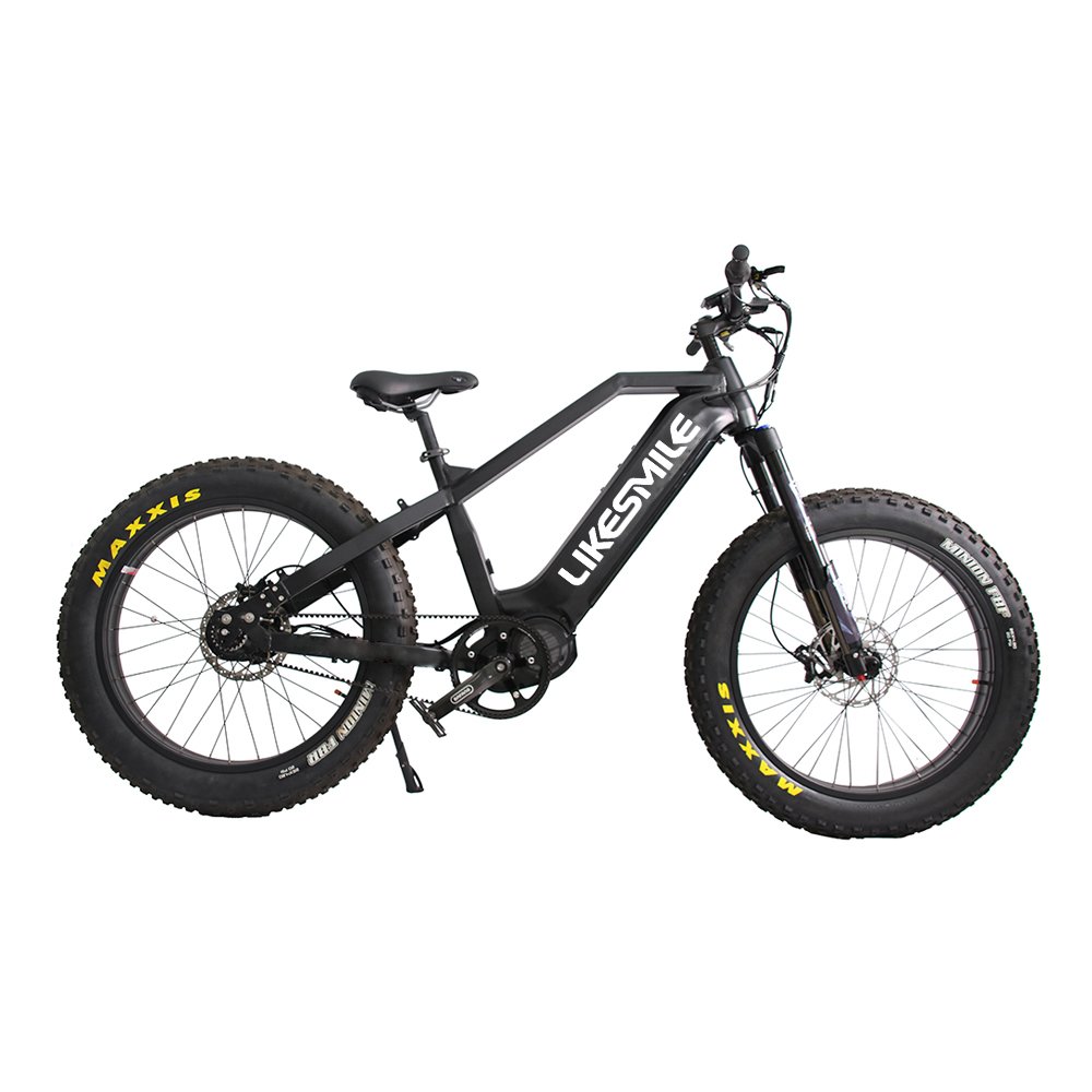 CMPRO Electric Fat Tire Bike With Rohloff 14 speeds IGH hub