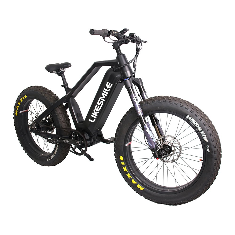 CMPRO Electric Fat Tire Bike With Rohloff 14 speeds IGH hub