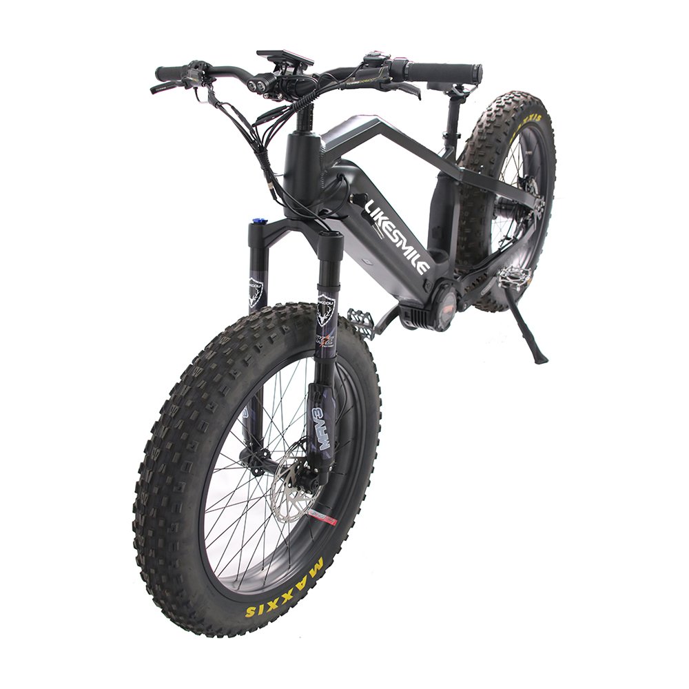 CMPRO Electric Fat Tire Bike With Rohloff 14 speeds IGH hub