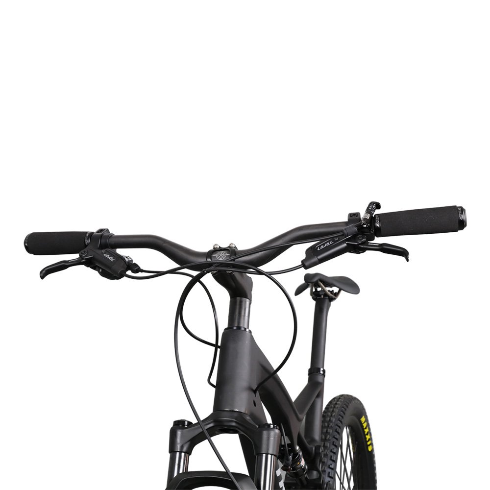 2019 NEW internal cable carbon frame mtb 29er full suspension mountain bike
